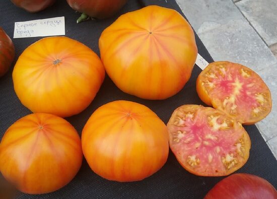 Шен Фас Аха